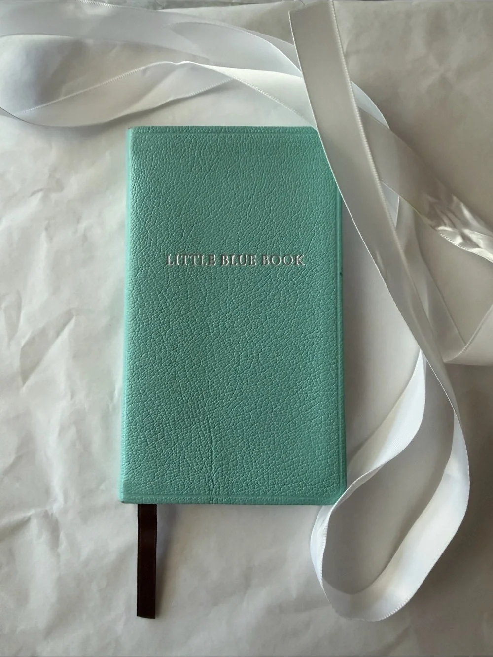 🌷TIFFANY & CO. LITTLE BLUE BOOK 🌷 NWOT 🌷
